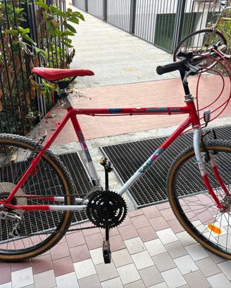 Bicicletta mountan bike 26