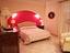 Immagine 14