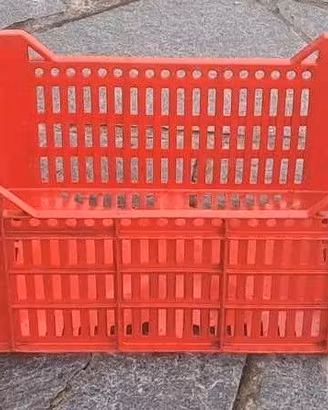 CASSETTE IN PLASTICA PER ORTOFRUTTA