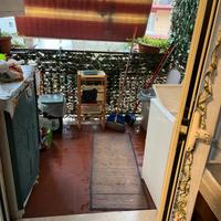 Vendita appartamento