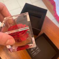 Rosa rossa ❤️ fiore stabilizzato