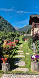 Promo fino al 27 giugno in Chalet con wellness