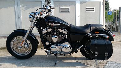 Harley Davidson Sportster XL 1200 Custom 2011