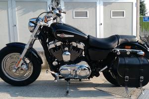 Harley Davidson Sportster XL 1200 Custom 2011