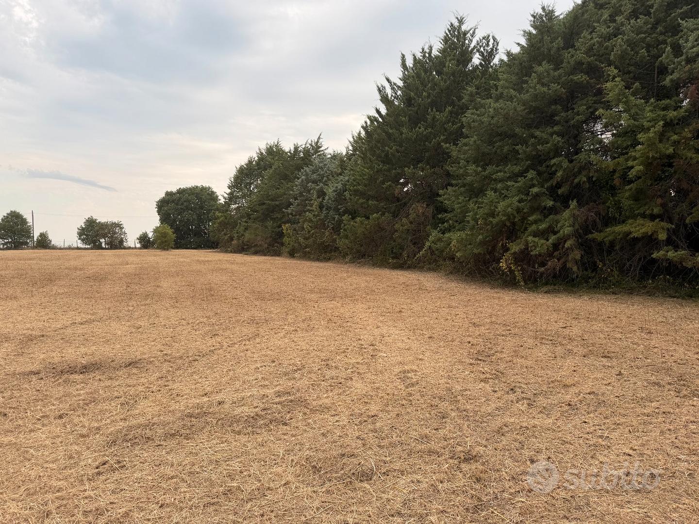 Terreno Agricolo - Vista 3