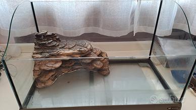 Acquario per tartarughe