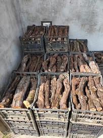 legna adatta per grigliate