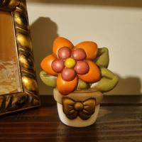 Piantina arancio media Thun