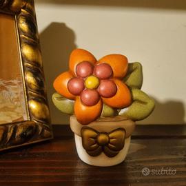 Piantina arancio media Thun