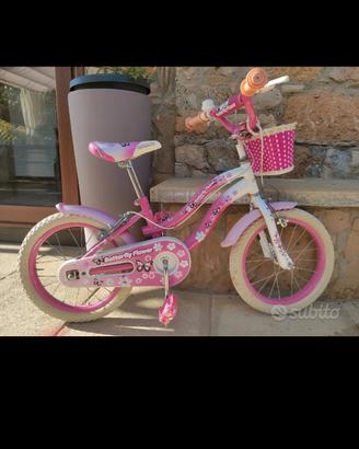 bicicletta 16