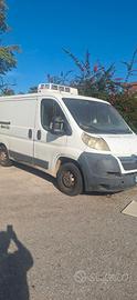  furgone citroen refrigerato