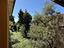 Immagine 22