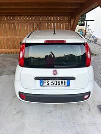 Fiat Panda usata- Spilimbergo(pn)