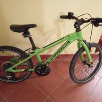 Bicicletta 20 pollici