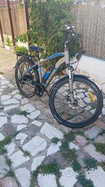Bici elettrica trekking Argento