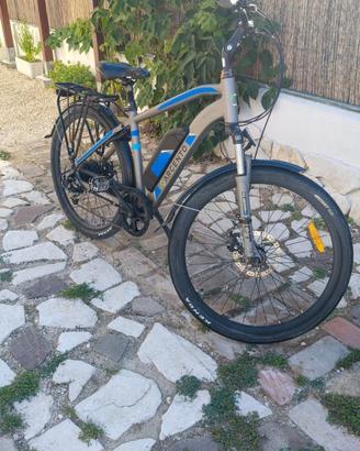 Bici elettrica trekking Argento