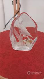 cristallo con immagine 