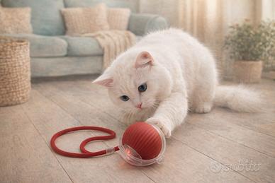 PALLA INTERATTIVA PER CANI E GATTI 