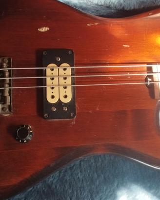 Basso Eko B 02