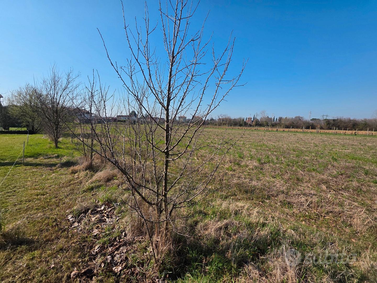 FOGLIANO - Polazzo - Terreno agricolo - Vista 2