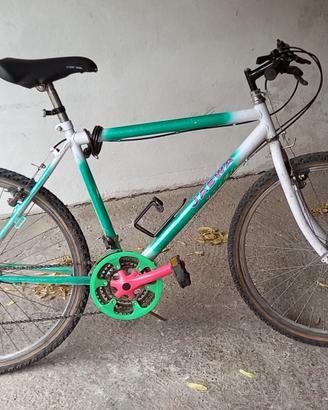 Bicicletta