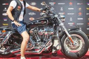 Harley  sportster 1200 C - XL del 2012