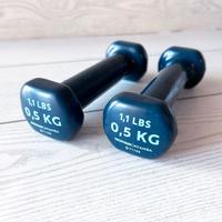 Pesi manubri ginnastica fitness palestra 0,5 kg