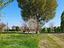 Immagine 7