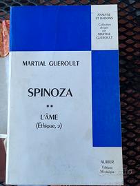 Martial Gueroult, Spinoza- Tome II: L’Âme, Aubier