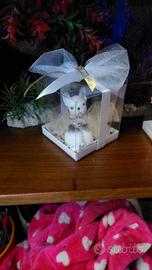 candele profumate e personalizzate 