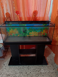 Acquario con piedistallo