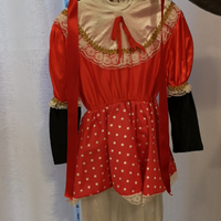 Vestito carnevale Minnie