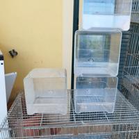 4 vaschette per bagno canarini 