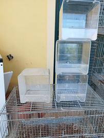 4 vaschette per bagno canarini 