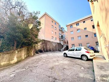 3 LOCALI A SAN DORLIGO DELLA VALLE