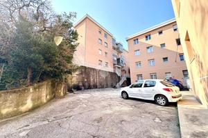 3 LOCALI A SAN DORLIGO DELLA VALLE