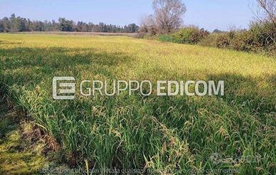 Terreno, Ozzero.