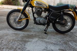 Ducati 350 Scrambler SCAMBLER
