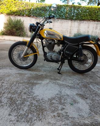 Ducati 350 Scrambler SCAMBLER