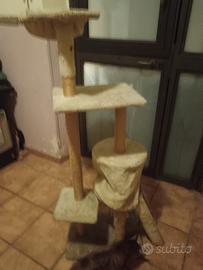 gattiera comoda