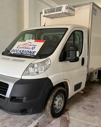 FIAT DUCATO FRIGORIFERO ANNO 2010