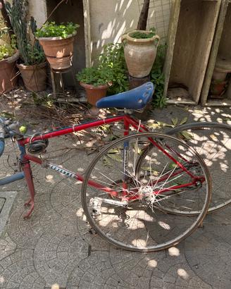 Bicicletta da corsa anni 50