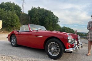 Austin healey 3000