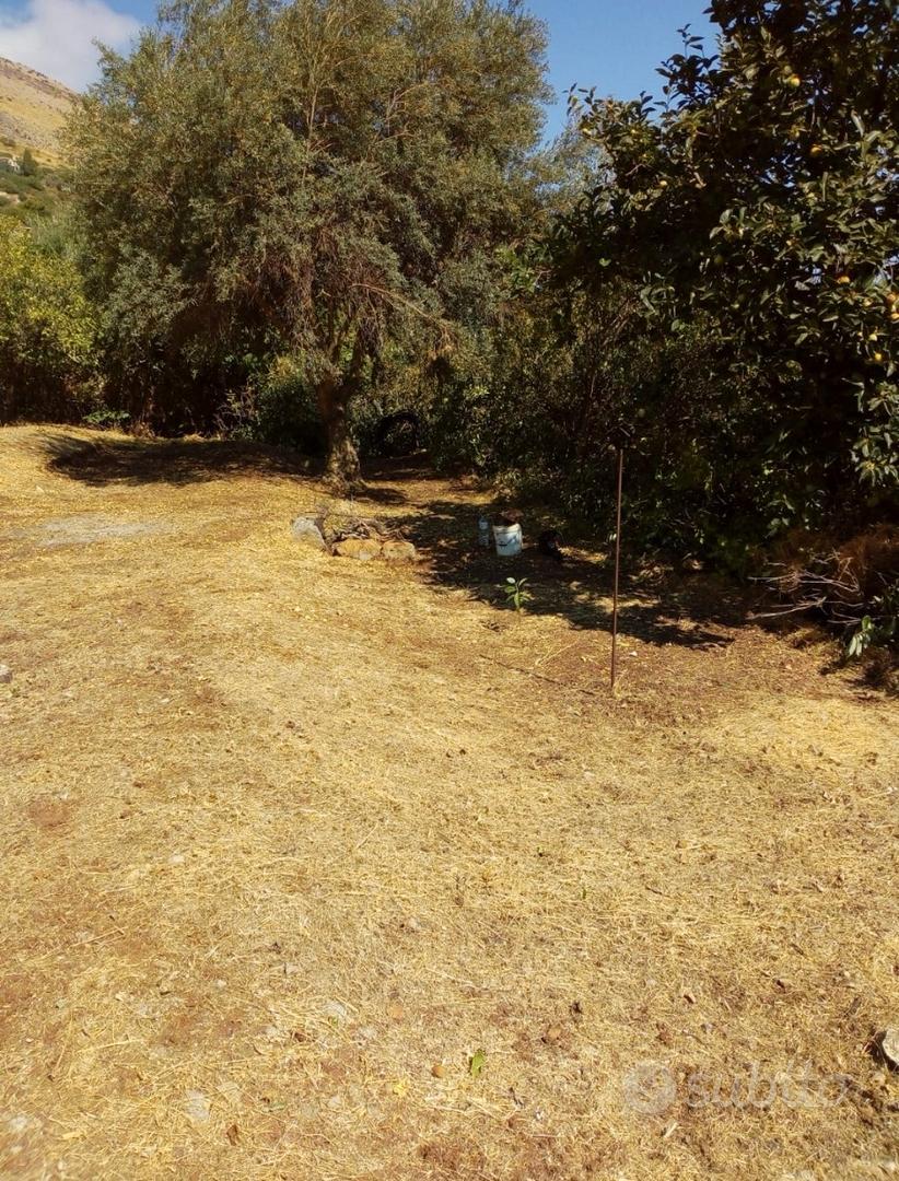 Terreno zona Rimed - View 6