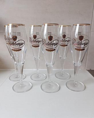 Bicchieri birra Radeberger 0,2l