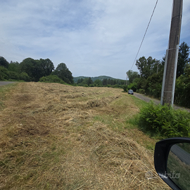 Consorzio Colli del Vivaro