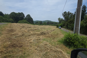 Consorzio Colli del Vivaro