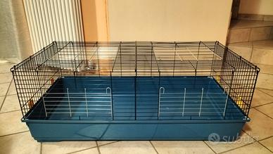 IMAC EASY gabbia per roditori domestici.