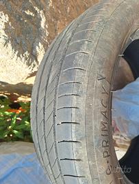gomme estive 