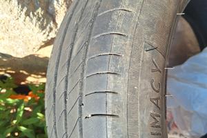 gomme estive 